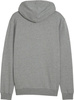 Bluza męska Puma Team Goal Casuals Hooded szara 658595 33