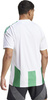 Koszulka męska adidas Striped 24 Jersey biało-zielona IW2148