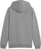 Bluza dla dzieci Puma Team Goal Casuals Hoddy szara 658619 33