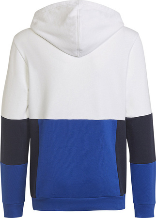 Bluza dla dzieci adidas Colourblock Hoodie biało-niebieska HG6826