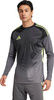 Koszulka bramkarska męska adidas Tiro 25 Competition Long Sleeve Jersey LM szara JN2017