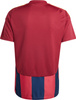 Koszulka męska adidas Striped 24 Jersey bordowo-granatowa IW2149