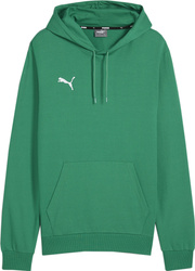 Bluza męska Puma Team Goal Casuals Hoody zielona 658618 05