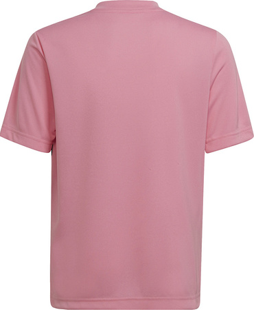 Koszulka dla dzieci adidas Entrada 22 Graphic Jersey różowo-czarna HC2632