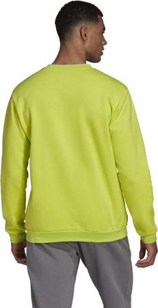 Bluza męska adidas Entrada 22 Sweat Top limonkowa HC5049