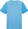 Koszulka męska Puma teamGoal Matchday Jersey błękitna 705747 18