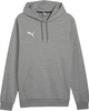 Bluza męska Puma Team Goal Casuals Hoody szara 658618 33