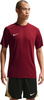 Koszulka męska Nike Dri-Fit Park VIII bordowa HV8173 677