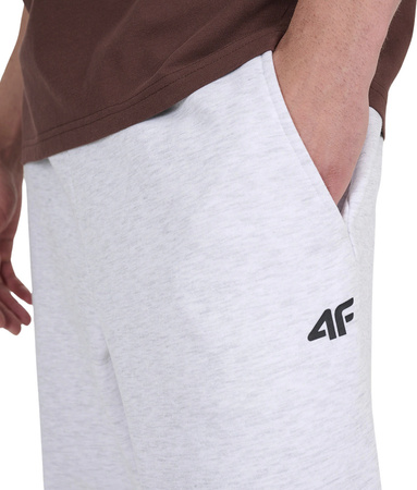 Spodnie męskie 4F CAS M1140 szare 4FWMM00TTROM1140 27M