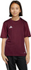 Koszulka dla dzieci adidas Tabela 23 Jersey bordowa IB4933