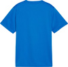 Koszulka dla dzieci Puma TeamGoal Jersey niebieska 658637 02