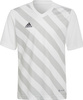 Koszulka dla dzieci adidas Entrada 22 Graphic Jersey biało-szara HF0120