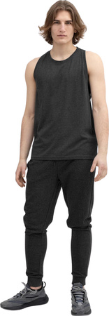 Spodnie męskie 4F M223 szare 4FSS23TTROM223 23M