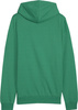 Bluza męska Puma Team Goal Casuals Hoody zielona 658618 05