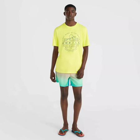 Męskie szorty O'neill JACK O'NEILL CALI GRADIENT 15'' SWIM SHORTS living coral simple gradient panel rozmiar L