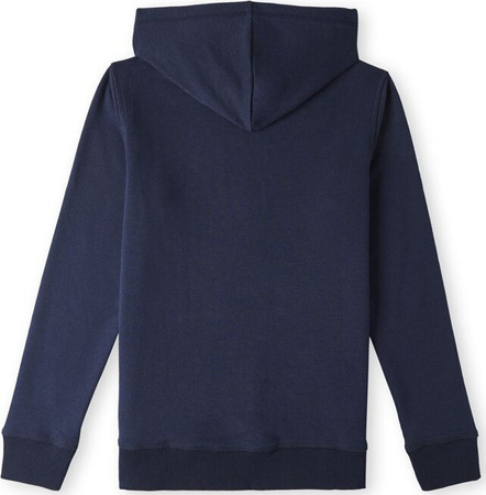 Dziecięca bluza O'neill O’neill Logo Hoodie rozmiar 152