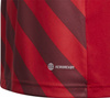 Koszulka dla dzieci adidas Entrada 22 Graphic Jersey czerwona H58983
