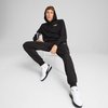 Bluza męska Puma Ess 2 Color Small No.1 Logo Hoodie TR czarna 684719 51