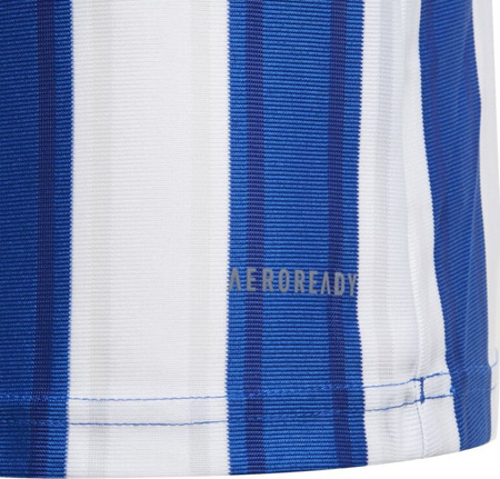 Koszulka dla dzieci adidas Striped 21 Jersey Youth biało-niebieska GH7323