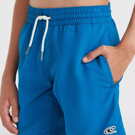 Dziecięce szorty O'neill VERT 14" SWIM SHORTS mary poppins rozmiar 164