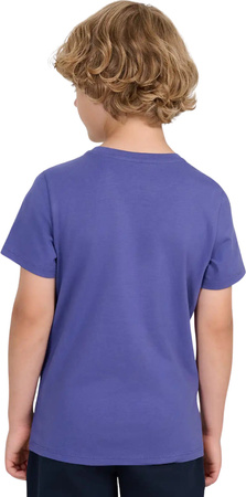 Koszulka dla chłopca 4F M2399 niebieska 4FJWAW25TTSHM2399 33S