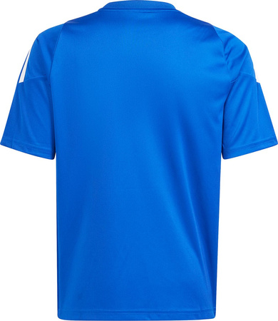 Koszulka dla dzieci adidas Tiro 24 Jersey niebieska IS1032