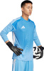 Koszulka bramkarska męska adidas Tiro 25 Competition Goalkeeper Long Sleeve niebieska JI9722
