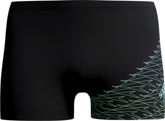 Męskie Bokserki Kąpielowe Medley Logo Asht  rozmiar 32