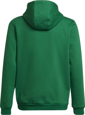 Bluza dla dzieci adidas Entrada 22 Hoody zielona HI2143