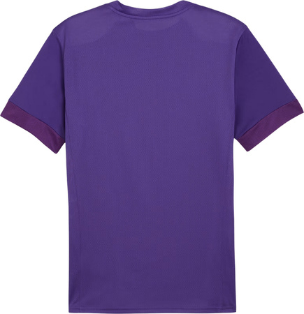 Koszulka męska Puma teamGoal Matchday Jersey fioletowa 705747 10