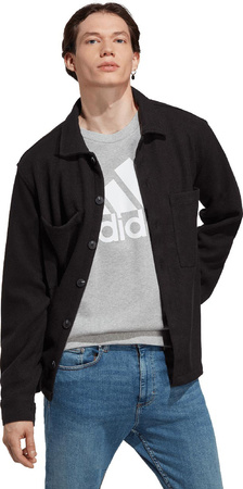 Bluza męska adidas Essentials French Terry Big Logo szara IC9326