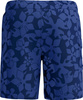 Męskie Szorty Print Brdshrt 18"  fiery red/white/french blue rozmiar 32