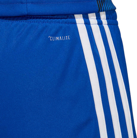 Spodenki treningowe krótkie męskie adidas Tastigo 19 Shorts niebieskie DP3682