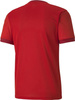 Koszulka męska Puma teamGOAL 23 Jersey czerwona 704171 01