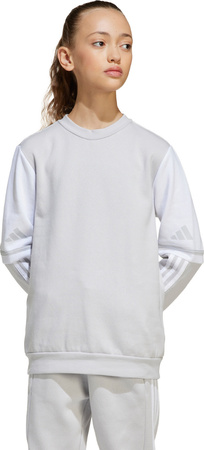 Bluza dla dzieci adidas Squadra 25 Sweat Crew szara JD4824