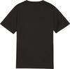 Koszulka dla dzieci Puma TeamGoal Jersey czarna 658637 03