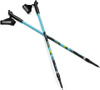 Kijki Nordic Walking Spokey Meadow niebiesko-czarno-zielone 929462