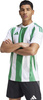 Koszulka męska adidas Striped 24 Jersey biało-zielona IW2148