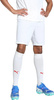 Spodenki męskie Puma Team Goal białe 705752 04