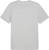 Koszulka męska Puma Graphics Summer Sports Tee II szara 627909 04