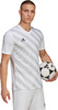 Koszulka męska adidas Entrada 22 Graphic Jersey biało-szara HF0129