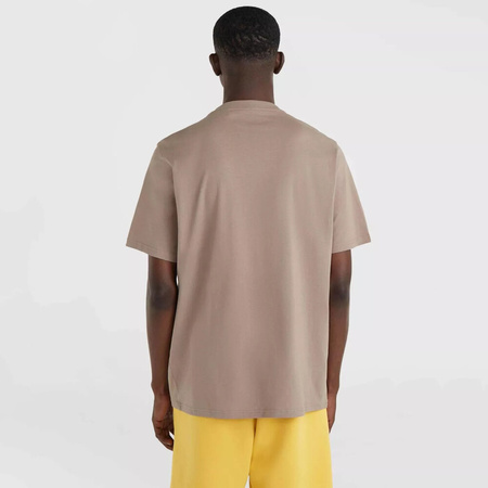 Męska koszulka z krótkim rękawem O'neill FUTURE SURF SOCIETY T-SHIRT pumpkin smoke rozmiar L