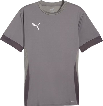 Koszulka męska Puma teamGoal Matchday Jersey szara 705747 13