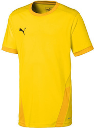 Koszulka dla dzieci Puma teamGOAL 23 Jersey żółta 704160 07