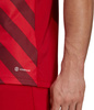 Koszulka męska adidas Entrada 22 Graphic Jersey czerwono-bordowa HB0572
