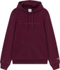 Bluza męska Champion Hooded Sweatshirt bordowa 220271 RS522