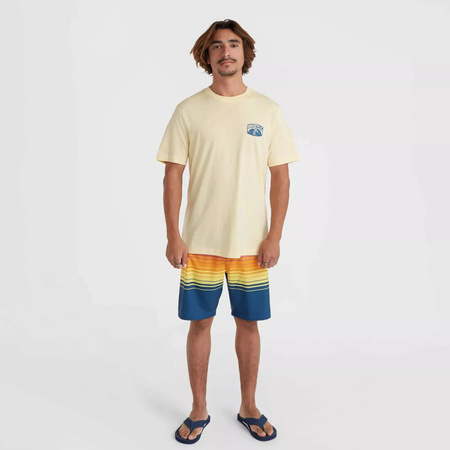 Męska koszulka z krótkim rękawem O'neill O'NEILL BEACH GRAPHIC T-SHIRT paris daisy rozmiar L