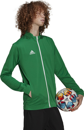 Bluza męska adidas Entrada 22 Track Jacket zielona HI2135