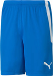 Spodenki męskie Puma teamLIGA niebieskie 704924 02