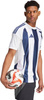 Koszulka męska adidas Striped 24 Jersey biało-niebieska IW4554
